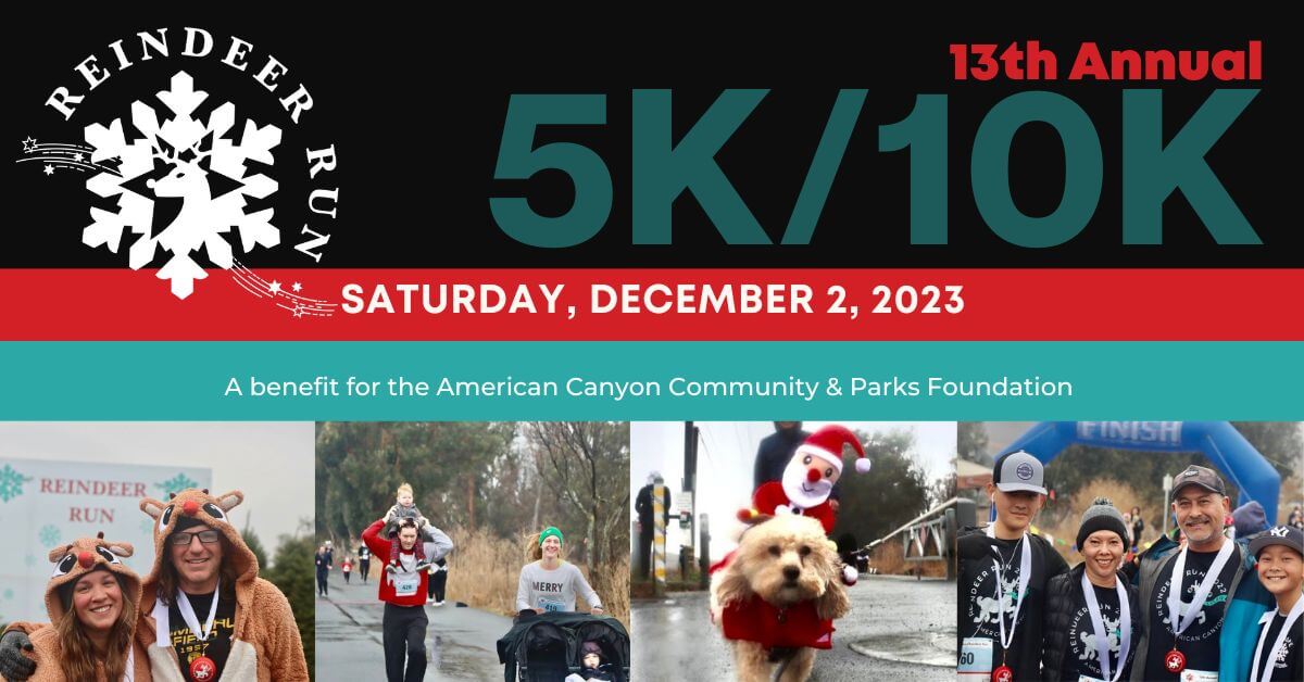 reindeer run flyer