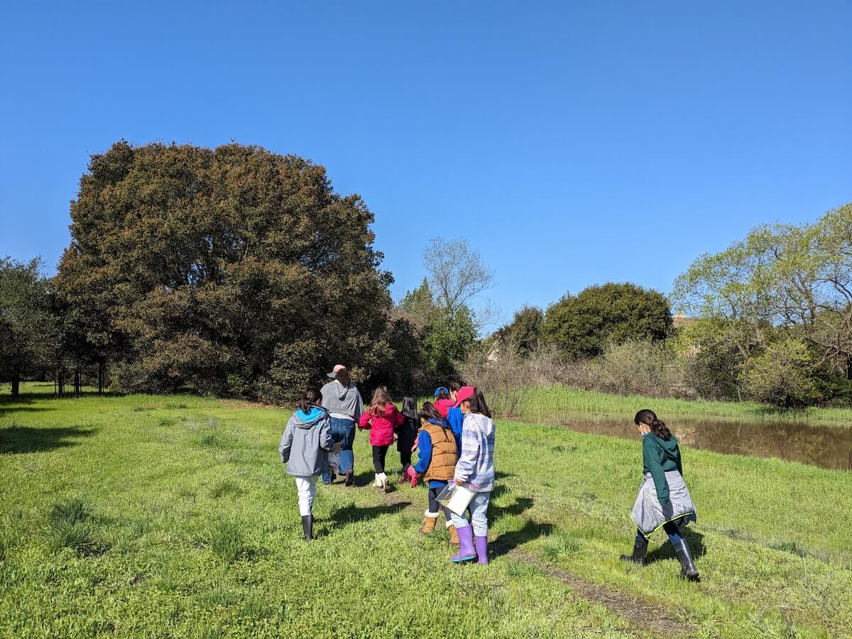 kids in a field walking