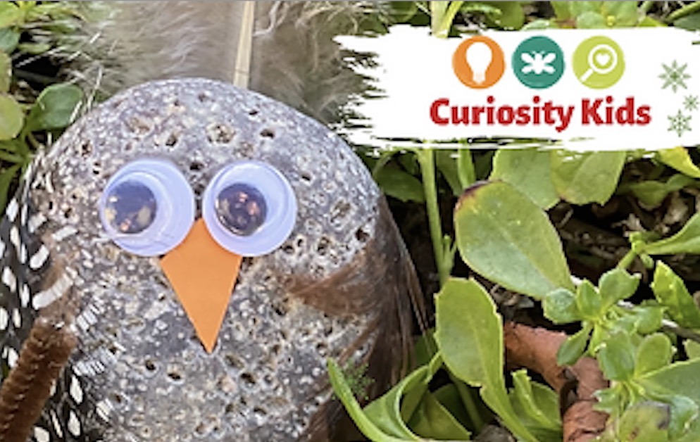 Curiosity Kids