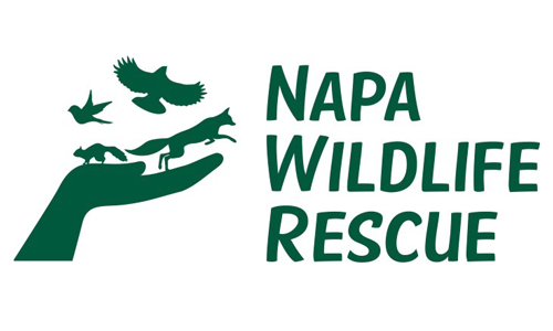 napa-wildlife-rescue-logo