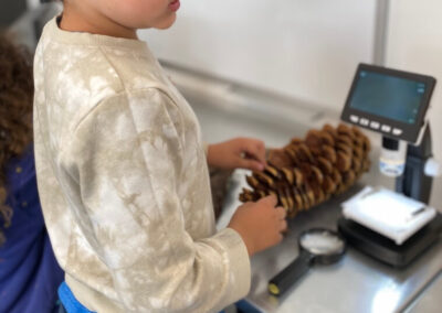 child with pinecone on table doing science