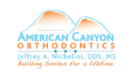 sponsor-nichelini-logo_final_outline sponsor-nichelini-logo_final_outline