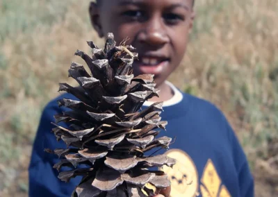 boy holding pinecone