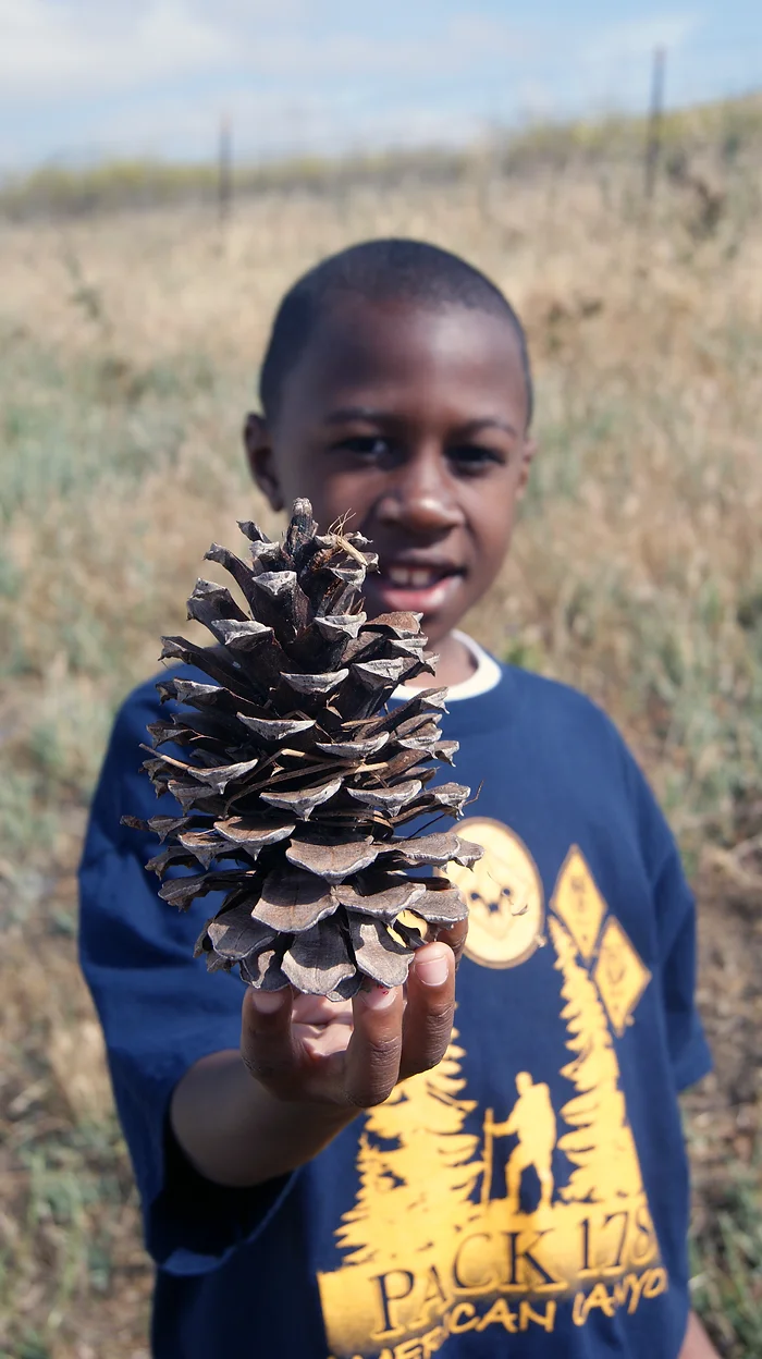 boy holding pinecone