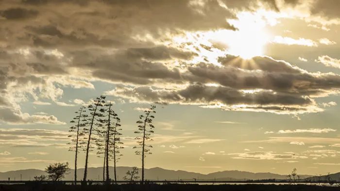 sky and trees and mountains