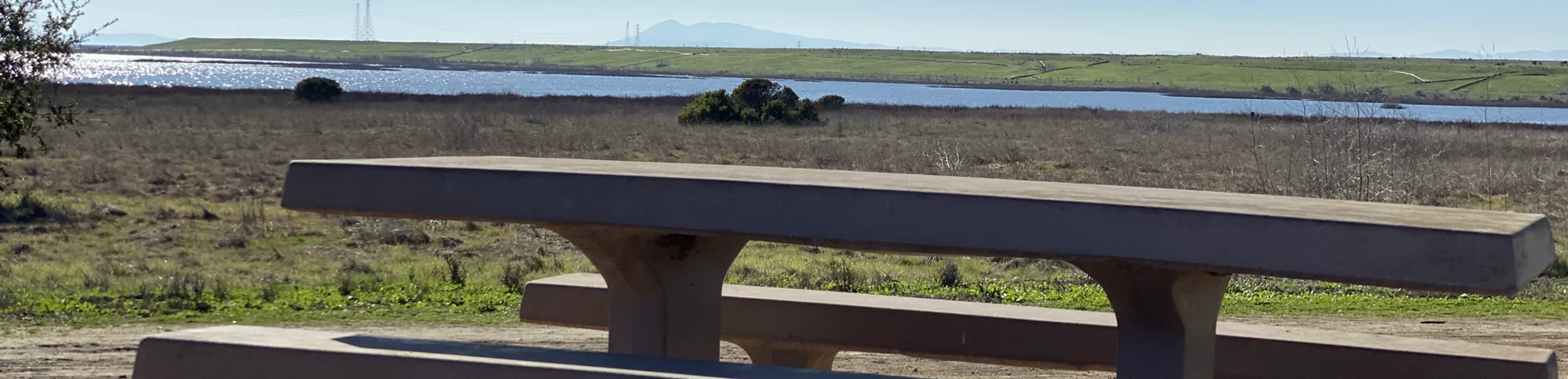 picnic table