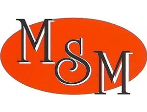 msm logo