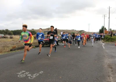 Reindeer run
