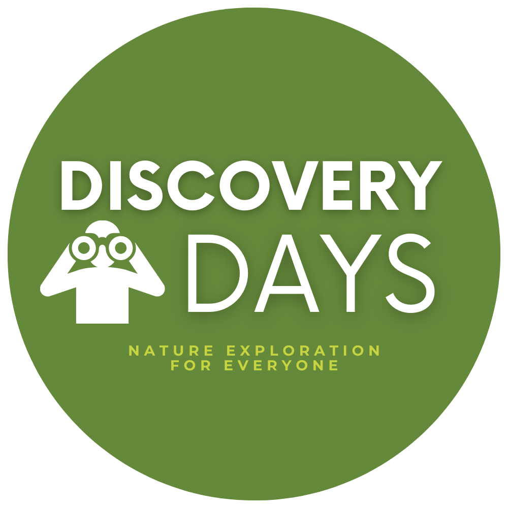 Discovery Days Logo, with outline of person looking through binoculars