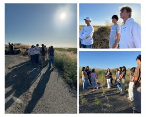 Teen WILD volunteers in the field