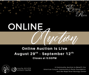 Graphic, online auction, is live August 29 - September 12th, closes at 5:00 PM. Benefits the Parks Foundation and the Napa River Ecology Center.