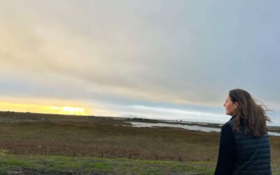 New Napa River Ecological Center to be built in American Canyon