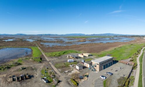 Field Notes: Transforming a Public Works Yard Into the Napa River Ecology Center