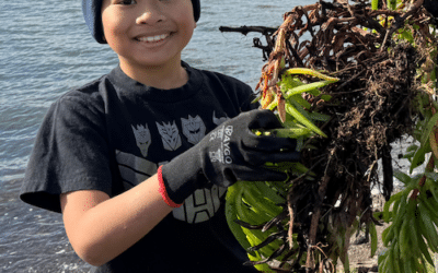 The 2025 Annual Report Is Here!