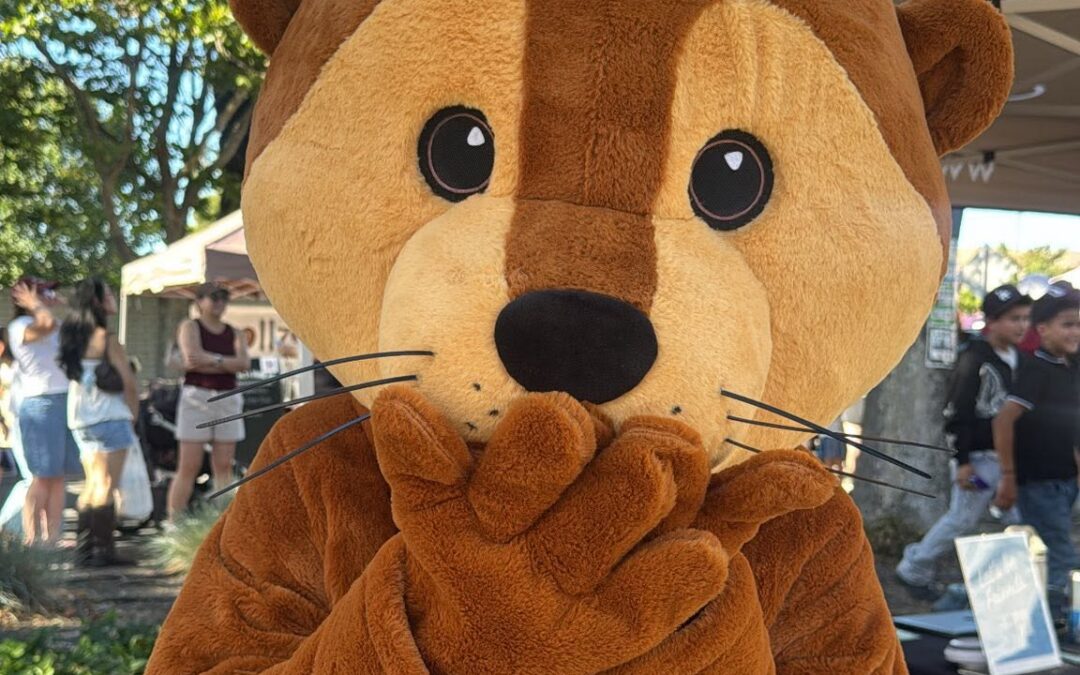 Meet Our New Otter Friend — Help Us Pick the Perfect Name!
