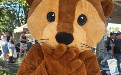 Meet Our New Otter Friend — Help Us Pick the Perfect Name!
