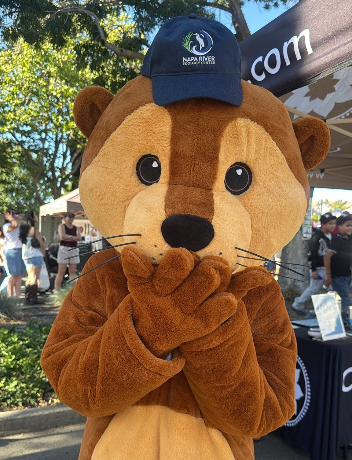 Meet Our New Otter Friend — Help Us Pick the Perfect Name!