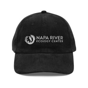 Vintage corduroy cap